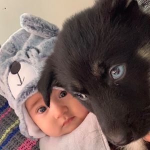 Meet your Posher, Reyna